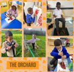 The Orchard Key Stage One 